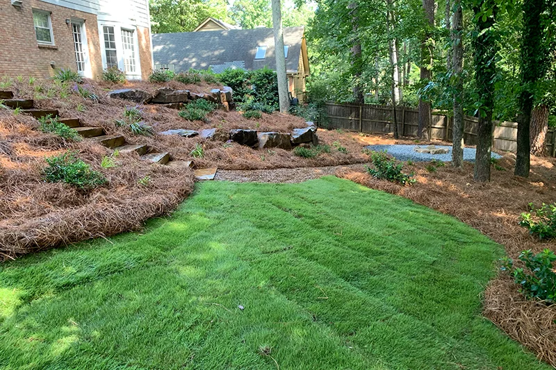 landscaping image with green grass and pine straw